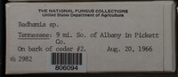 Image Associated With the Occurence